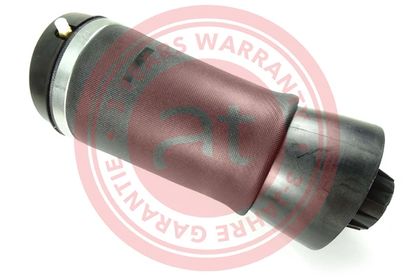 Air Spring, suspension